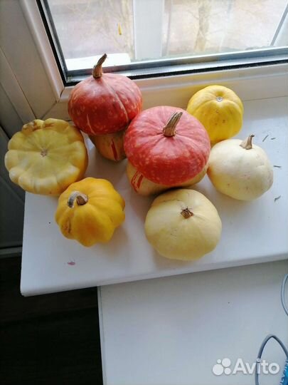 Тыквы декоративные