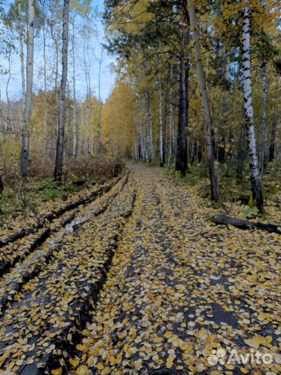 Экскурсия Есаульская петля+ город Призрак