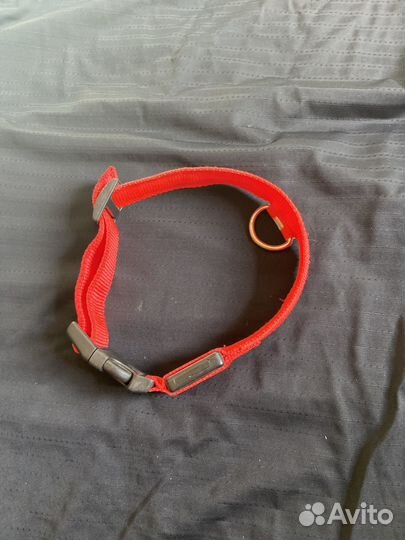 Ошейник с подсветкой