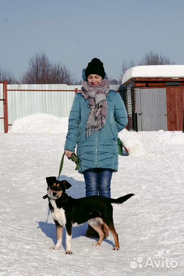 Стеша ищет дом