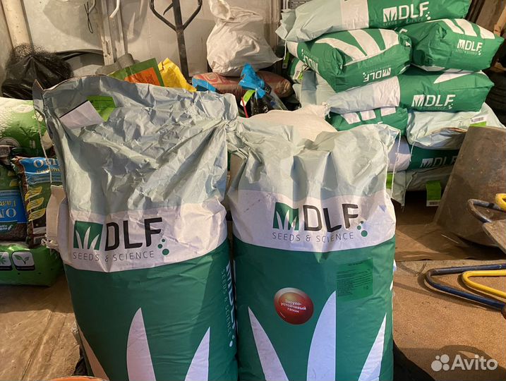 Семена клевера ривендел