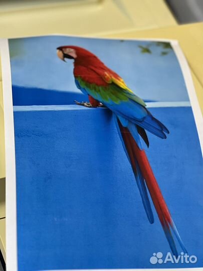 Мфу лазерный цветной с вай фаем 2-печать 2-сканер