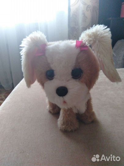 Интерактивная собака