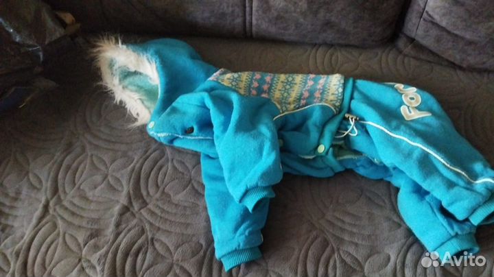 Костюмы для собак