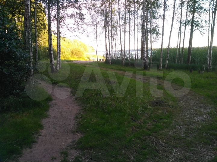 Участок 20 сот. (СНТ, ДНП)