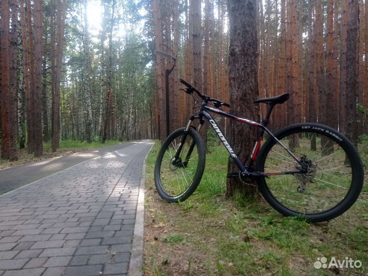 Горный велосипед Cannondale
