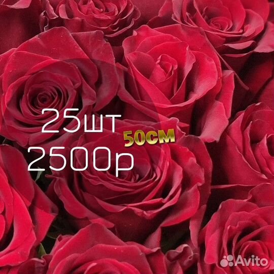 Гербера Тольятти доставка