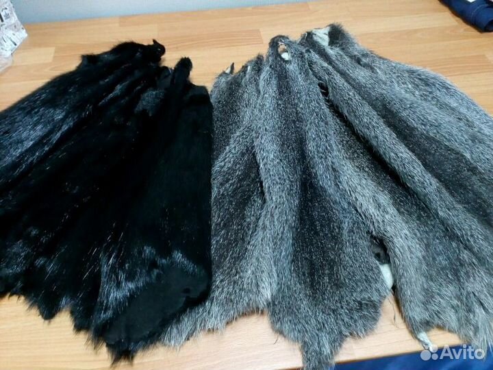 Шкуры (лиса, писец, норка, енот, кайот, нутрия)