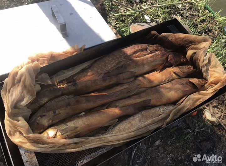 Коптильня с термометром