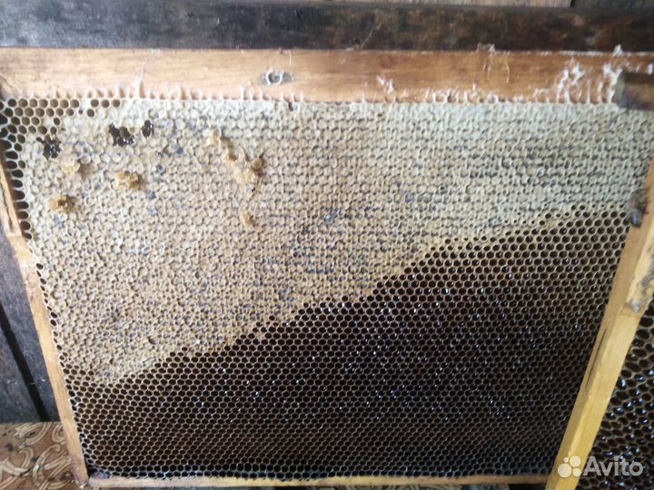 Мед настоящий