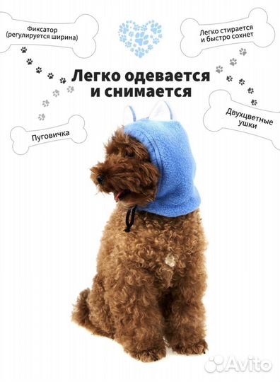 Шапка для собак