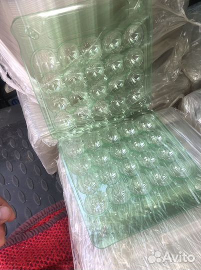 Лотки для перепелиных яиц