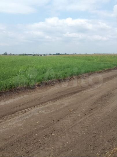 Участок 1,2 га (СНТ, ДНП)