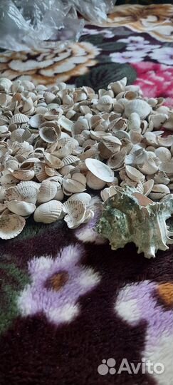 Для аквариума