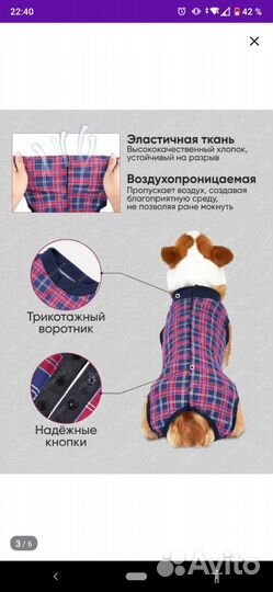 Попона для собак послеоперационная