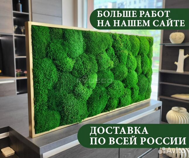 Стабилизированный мох панно стена из мха фитостена