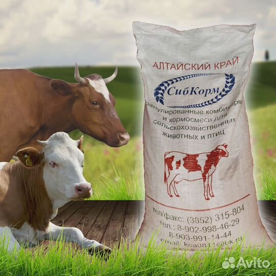 Корм гранулированный. Смесь зерновая для крс