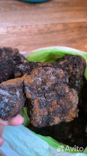 Березовый гриб чага 2.5 кг