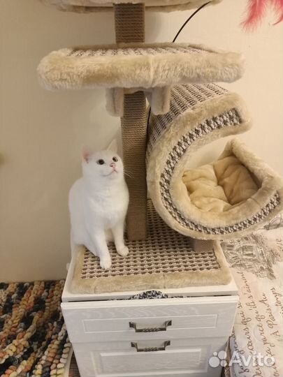 Игровой комплекс,домик для кошек