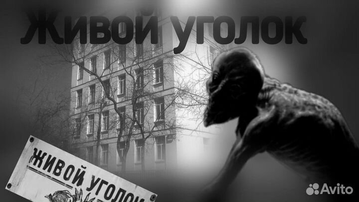 Простенький превью на заказ (для ютьюб)