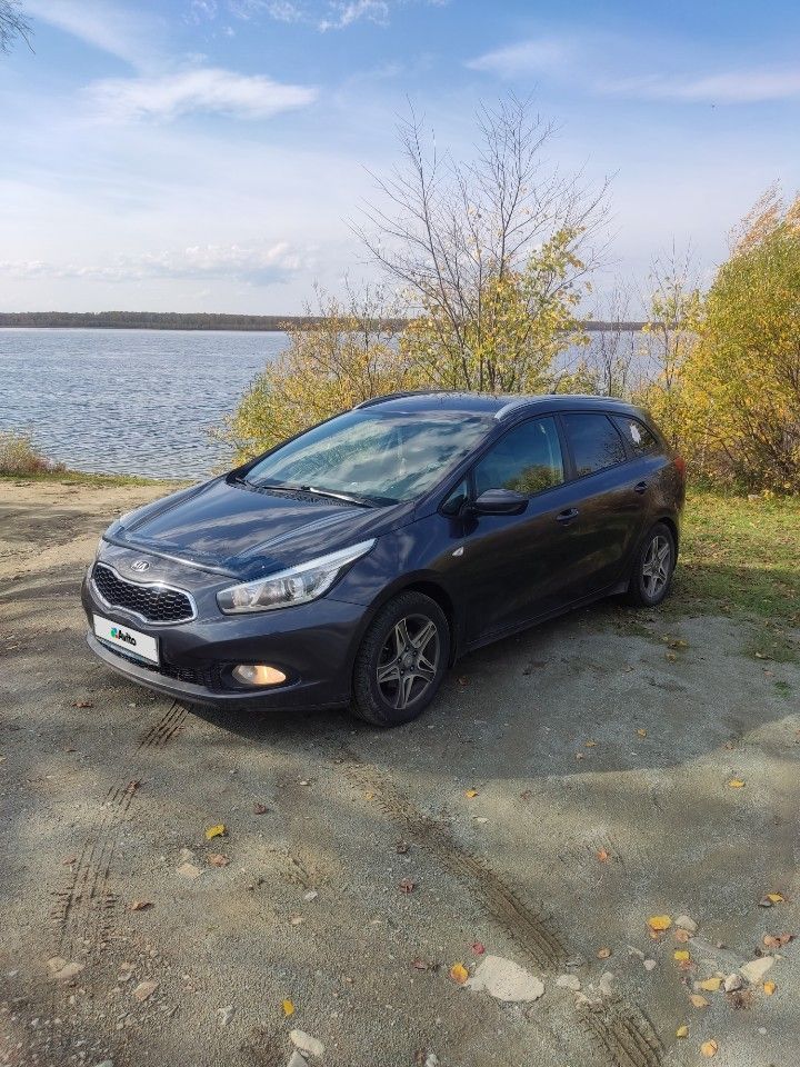 Kia Ceed: фото владельца