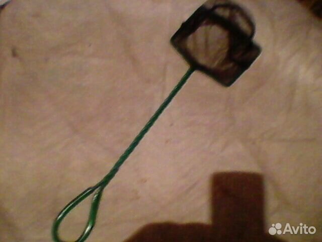 Ракушки, аквариум, сачёк