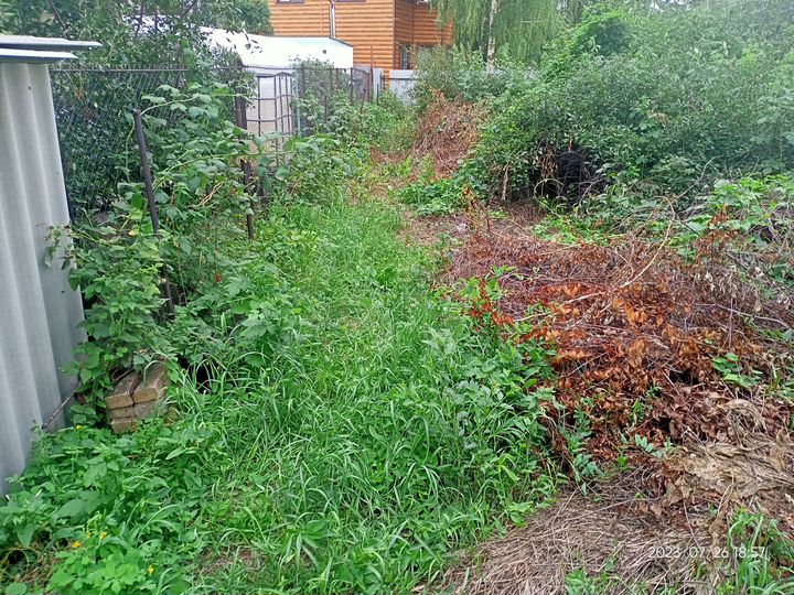 Участок 2,5 сот. (СНТ, ДНП)