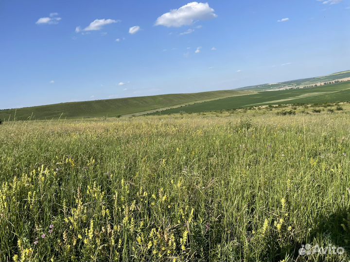 Сено солома в тюках
