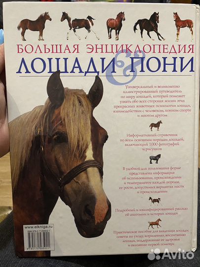 Книга про лошадей