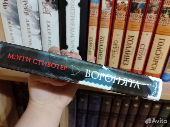 Мэгги стивотер 