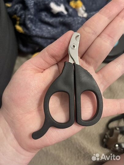 Вещи для животных