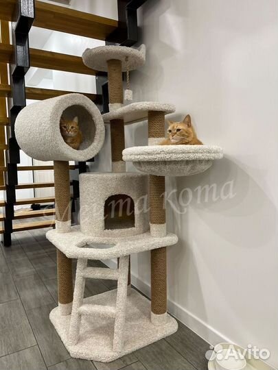 Когтеточка, комплекс для кошек