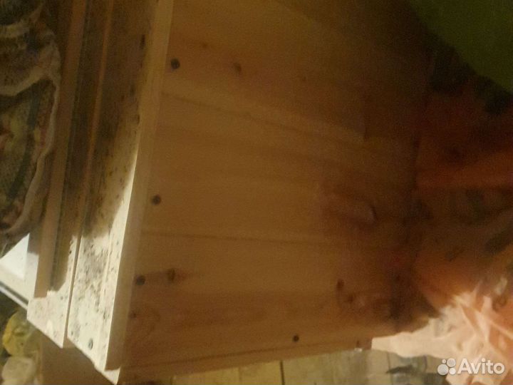 Инкубатор + брудер