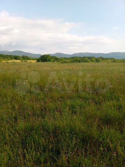 Участок 1,62 га (СНТ, ДНП)