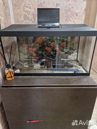 Аквариум с крышкой полный комплект