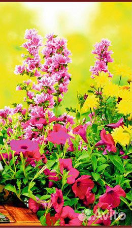 Настенный инфракрасный обогреватель Цветы