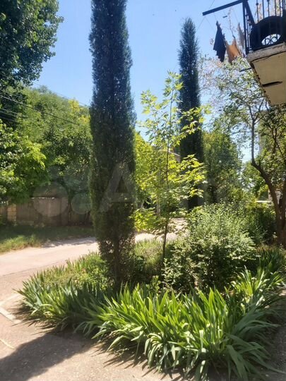 3-к. квартира, 66,9 м², 1/2 эт.