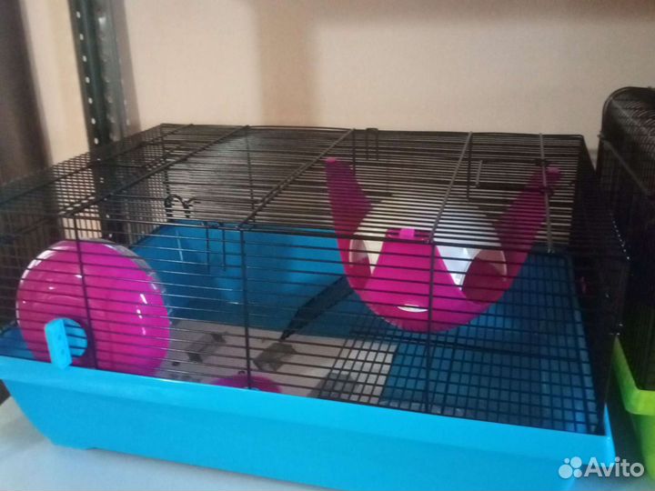 Клетки для грызунов