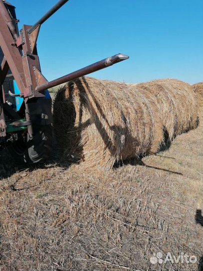Продам сено