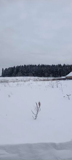 Участок 12 сот. (ИЖС)