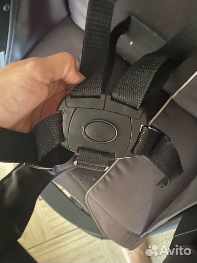 Коляска babyton comfort plus