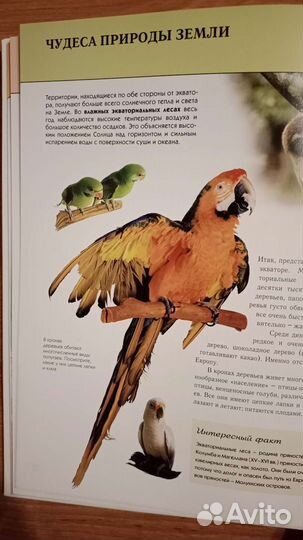 Детская энциклопедия Чудеса Света