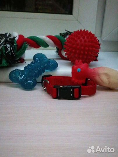 Аксессуары для собаки/щенка