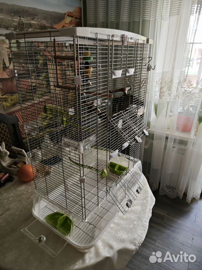 Клетка hagen