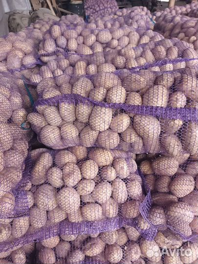 Картофель вкусный