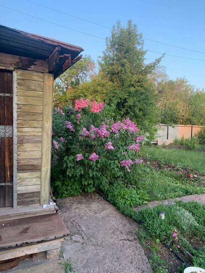 Дача 20 м² на участке 6 сот.