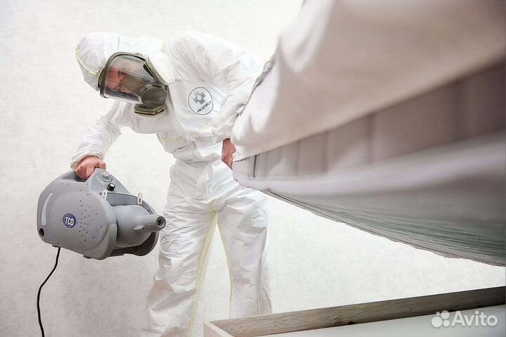 Дезинсекция от тараканов, клопов, блох