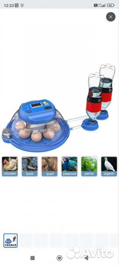 Инкубатор для яиц автоматический новый