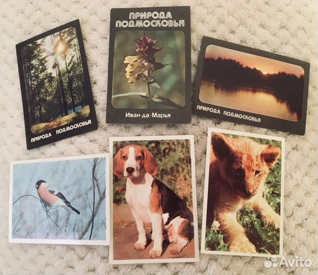 Календарики 1976-1996