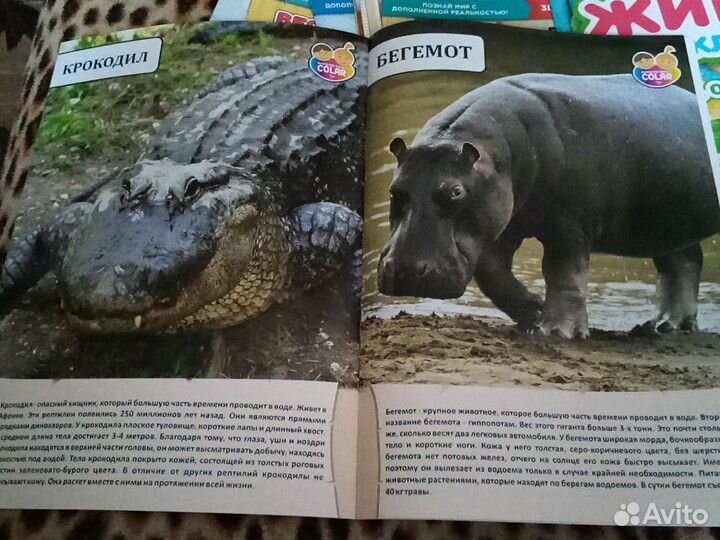 3д энциклопедии